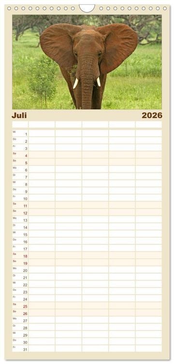 Produktbild: Familienplaner 2026 - begegnungen - elefanten im s&uuml;dlichen afrika mit 5 Spalten (Wandkalender, 21 x 45 cm) CALVENDO