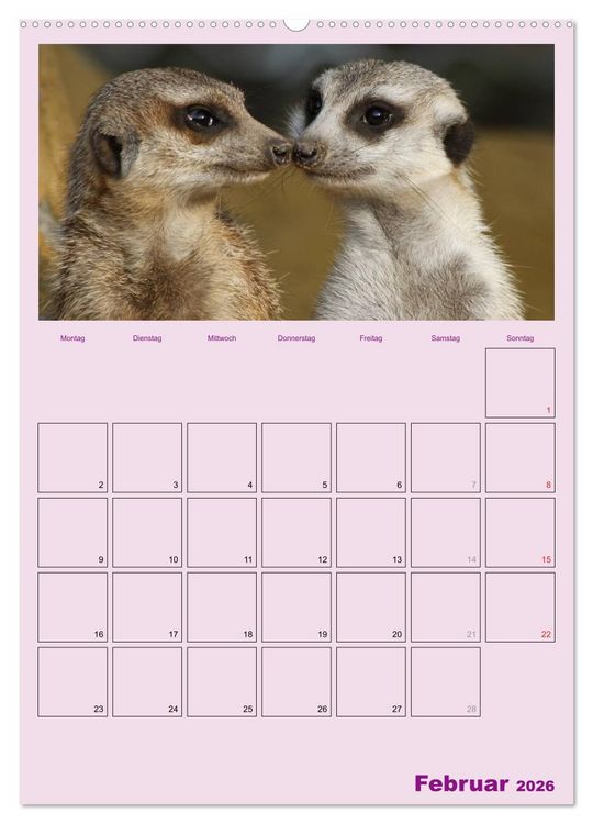 Produktbild: Erdm&auml;nnchen / Terminplaner (Wandkalender 2026 DIN A2 hoch), CALVENDO Monatskalender