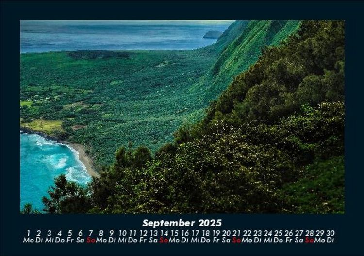 Produktbild: Blumen & Pflanzen 2025 Fotokalender DIN A5