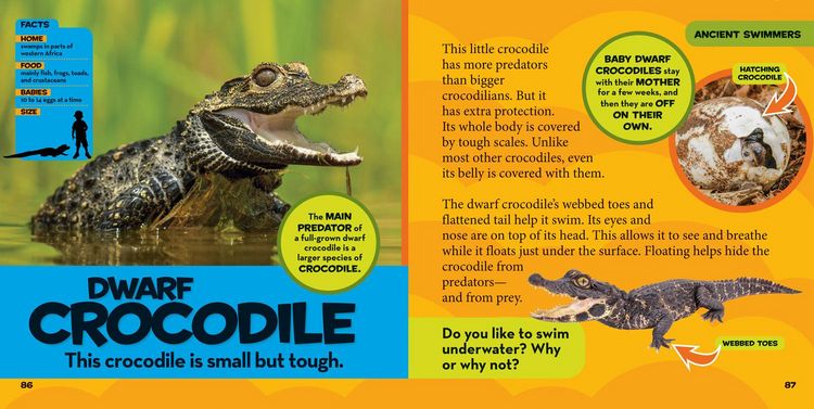 Produktbild: National Geographic Little Kids First Big Book of Reptiles and Amphibians