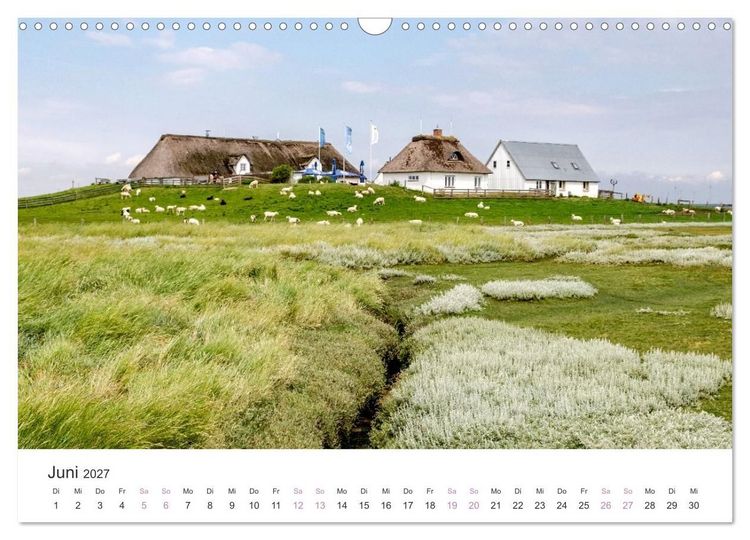 Produktbild: Hamburger Hallig - Der Weg ist das Ziel (Wandkalender 2027 DIN A3 quer), CALVENDO Monatskalender