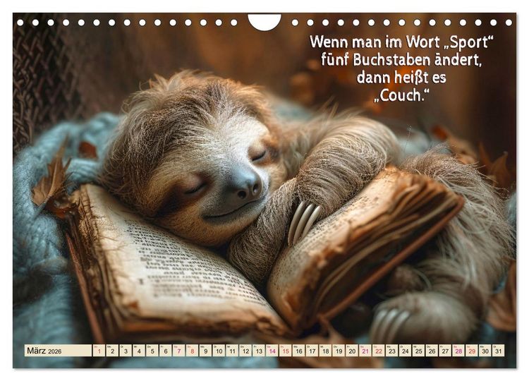Produktbild: Faultier - Albtraum Sport (Wandkalender 2026 DIN A4 quer), CALVENDO Monatskalender