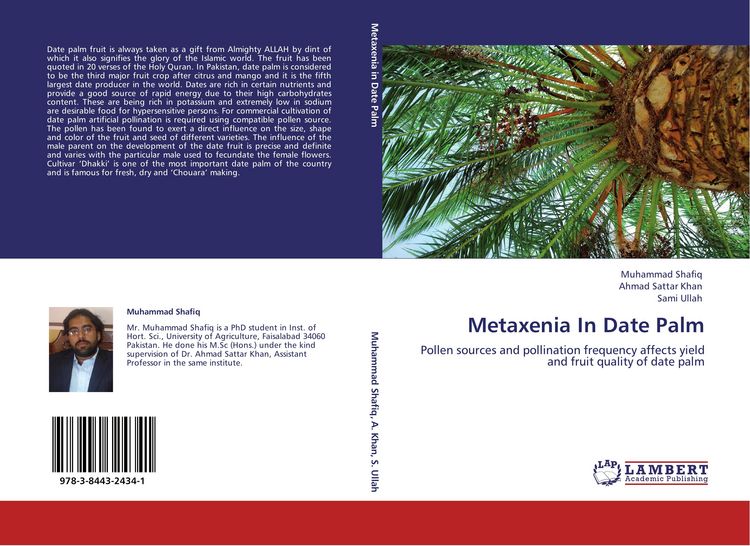 Produktbild: Metaxenia In Date Palm