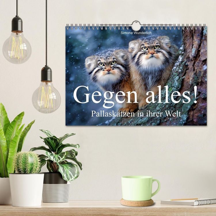 Produktbild: Gegen alles! - Pallaskatzen in ihrer Welt (Wandkalender 2027 DIN A4 quer), CALVENDO Monatskalender