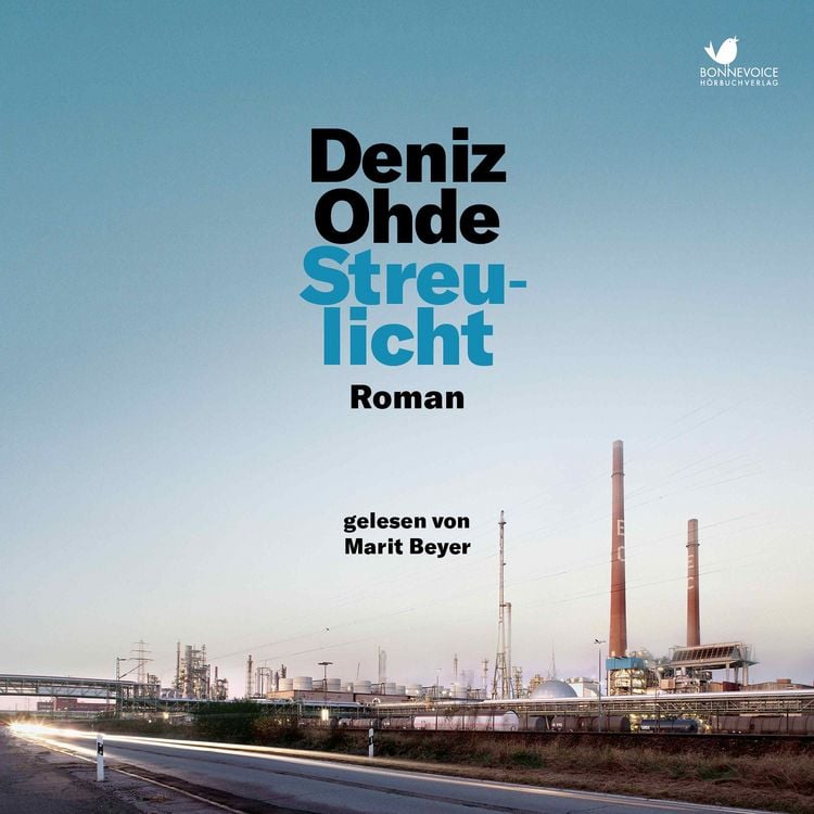 Produktbild: Streulicht