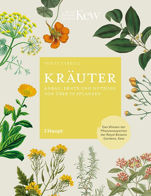 Produktbild: Kr&auml;uter