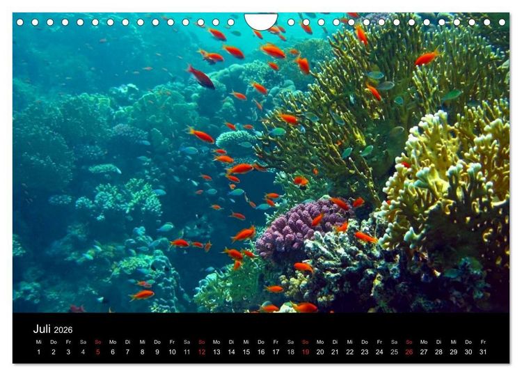 Produktbild: Tr&auml;ume unter Wasser (Wandkalender 2026 DIN A4 quer), CALVENDO Monatskalender