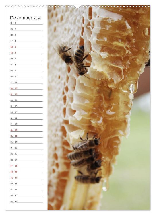Produktbild: Naturheilmittel Honig - Kalender & Terminplaner (hochwertiger Premium Wandkalender 2026 DIN A2 hoch), Kunstdruck in Hochglanz