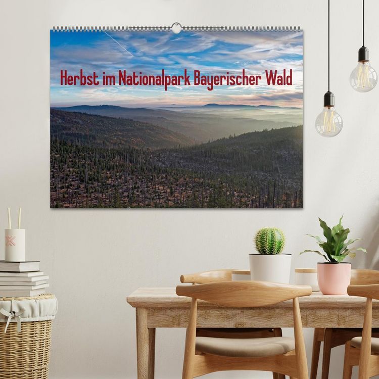 Produktbild: Herbst im Nationalpark Bayerischer Wald (Wandkalender 2026 DIN A2 quer), CALVENDO Monatskalender