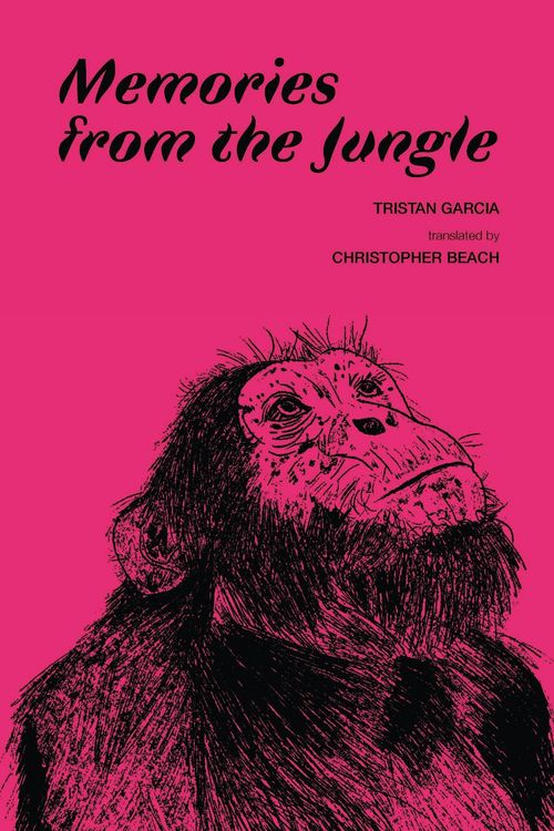 Produktbild: Memories from the Jungle