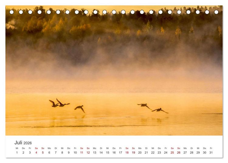 Produktbild: Mystische Nebellandschaften (Tischkalender 2026 DIN A5 quer), CALVENDO Monatskalender