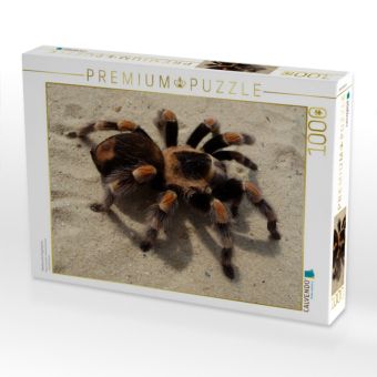 Produktbild: CALVENDO Puzzle Mexikanische Vogelspinne | 1000 Teile Lege-Gr&ouml;&szlig;e 64x48cm Foto-Puzzle f&uuml;r gl&uuml;ckliche Stunden