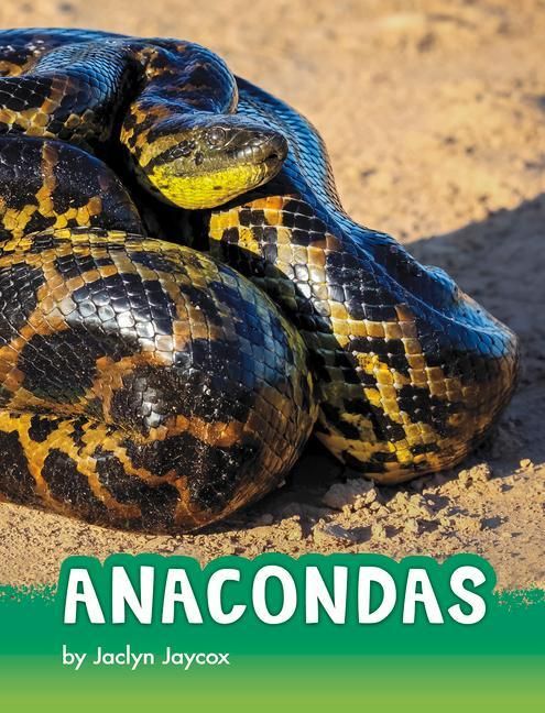 Produktbild: Anacondas