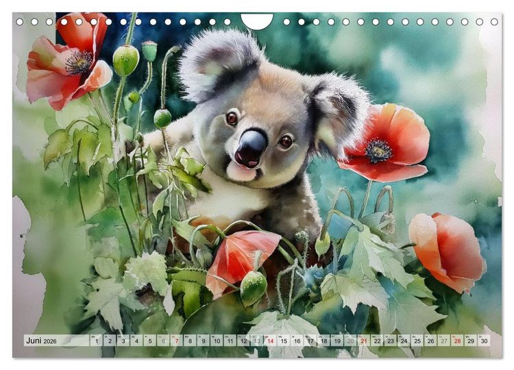 Produktbild: Koalas, liebenswerte kleine Schlafm&uuml;tzen (Wandkalender 2026 DIN A4 quer), CALVENDO Monatskalender