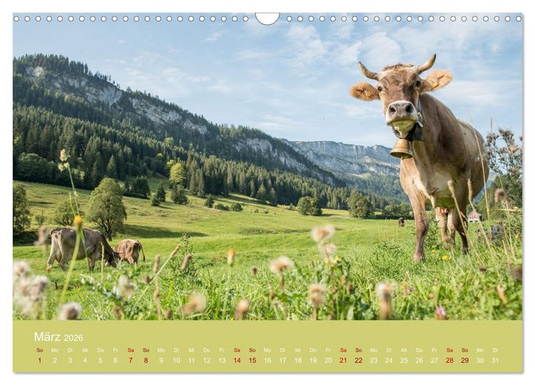 Produktbild: Heimweh Allg&auml;u 2026 (Wandkalender 2026 DIN A3 quer), CALVENDO Monatskalender