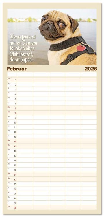 Produktbild: Familienplaner 2026 - Mopsala: Vom Gl&uuml;ck, ein Mops zu sein mit 5 Spalten (Wandkalender, 21 x 45 cm) CALVENDO