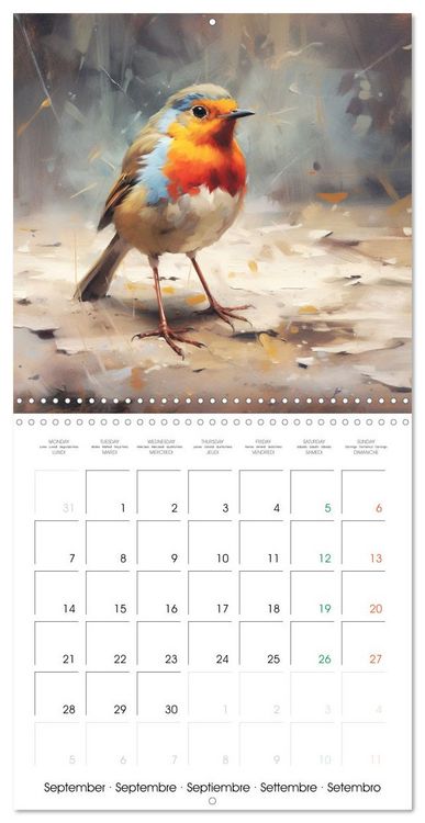 Produktbild: Ailes en sc&egrave;ne (Calendrier mural carr&eacute; 2026 30x30 cm) Calendrier double avec une page pour vos prises de notes