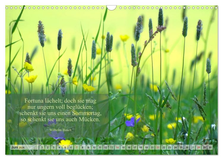 Produktbild: Weises (Wandkalender 2026 DIN A3 quer), CALVENDO Monatskalender