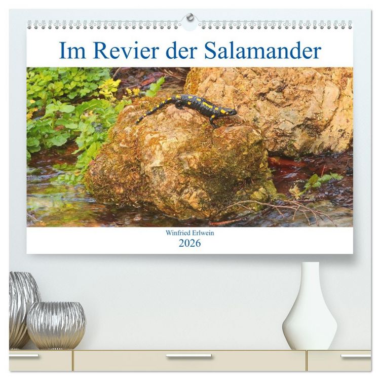 Produktbild: Im Revier der Salamander (hochwertiger Premium Wandkalender 2026 DIN A2 quer), Kunstdruck in Hochglanz