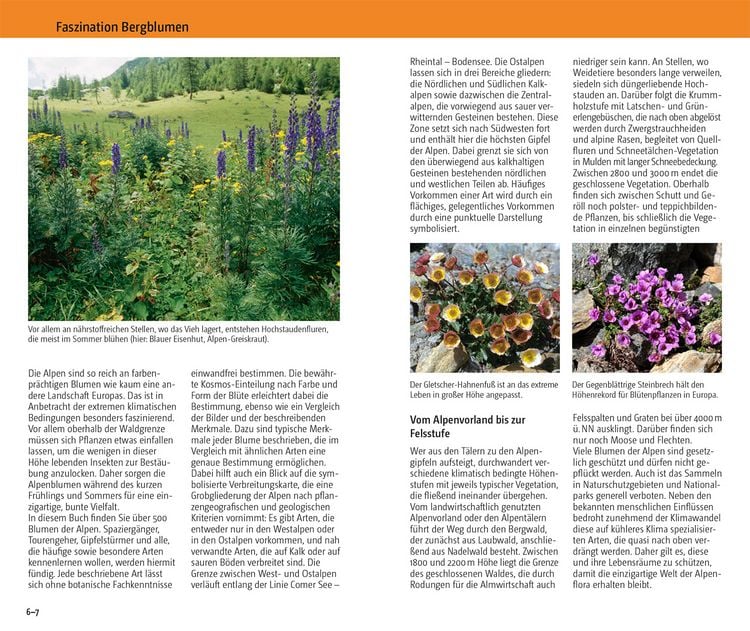 Produktbild: Blumen der Alpen