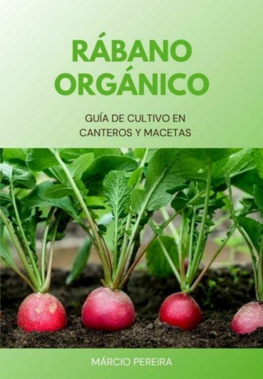 Produktbild: R&aacute;bano Org&aacute;nico
