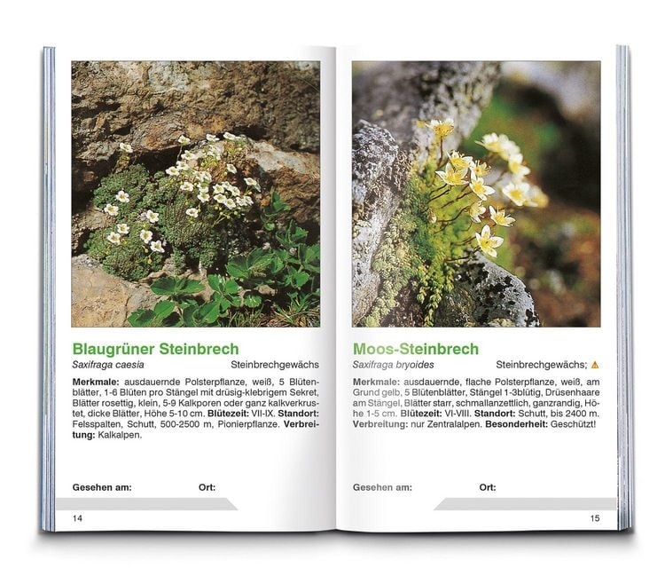 Produktbild: Alpenblumen