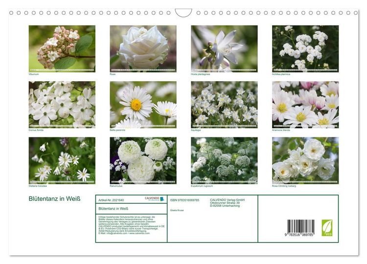 Produktbild: Bl&uuml;tentanz in Wei&szlig; (Wandkalender 2026 DIN A3 quer), CALVENDO Monatskalender