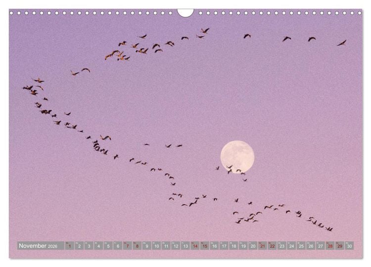 Produktbild: Vollmond - Momente der Ruhe (Wandkalender 2026 DIN A3 quer), CALVENDO Monatskalender