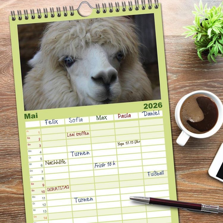Produktbild: Familienplaner 2026 - Alpakas und Lamas mit 5 Spalten (Wandkalender, 21 x 45 cm) CALVENDO