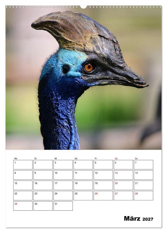 Produktbild: Australiens faszinierende Tierwelt (Wandkalender 2027 DIN A2 hoch), CALVENDO Monatskalender