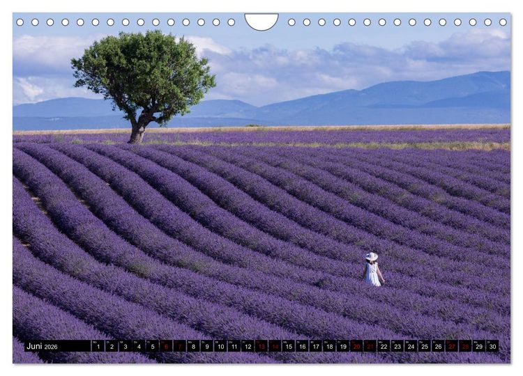 Produktbild: Provence im Rausch der Farben (Wandkalender 2026 DIN A4 quer), CALVENDO Monatskalender