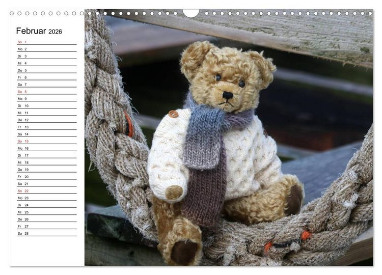 Produktbild: Teddy unterwegs (Wandkalender 2026 DIN A3 quer), CALVENDO Monatskalender