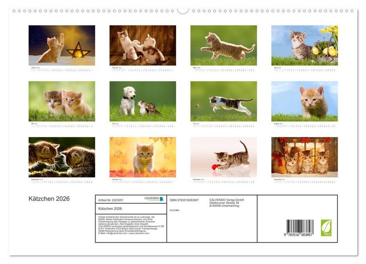 Produktbild: K&auml;tzchen 2026 (hochwertiger Premium Wandkalender 2026 DIN A2 quer), Kunstdruck in Hochglanz