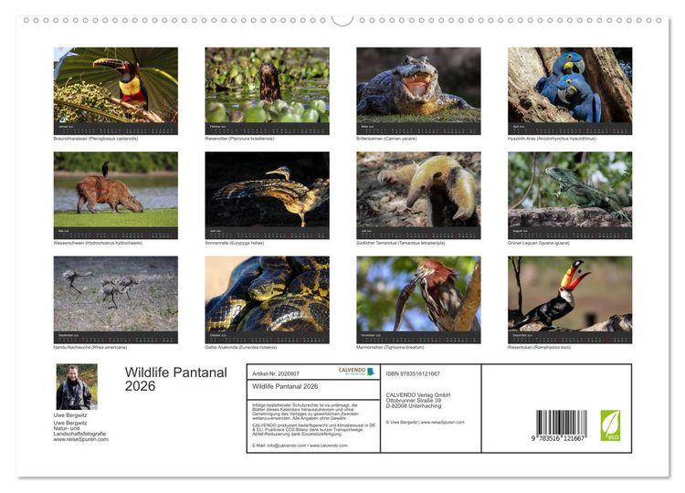 Produktbild: Wildlife Pantanal 2026 (hochwertiger Premium Wandkalender 2026 DIN A2 quer), Kunstdruck in Hochglanz