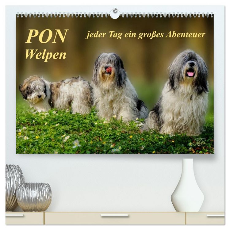 Produktbild: PON - Welpen, jeder Tag ein gro&szlig;es Abenteuer (hochwertiger Premium Wandkalender 2026 DIN A2 quer), Kunstdruck in Hochglanz