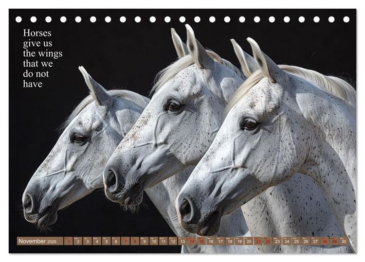 Produktbild: A Horse Makes You Complete (Desk Calendar 2026 DIN A5 landscape), CALVENDO 12 Month DeskCalendar