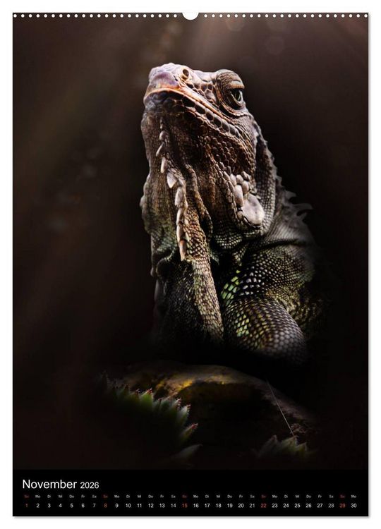 Produktbild: Auge in Auge mit coolen Typen - REPTILIEN (hochwertiger Premium Wandkalender 2026 DIN A2 hoch), Kunstdruck in Hochglanz