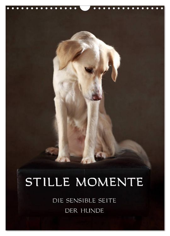 Produktbild: Stille Momente - Die sensible Seite der Hunde (Wandkalender 2026 DIN A3 hoch), CALVENDO Monatskalender