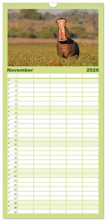 Produktbild: Familienplaner 2026 - Flusspferde Magie des Augenblicks - Hippos in Afrika mit 5 Spalten (Wandkalender, 21 x 45 cm) CALVENDO