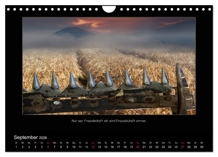 Produktbild: Freundschaft (Wandkalender 2026 DIN A4 quer), CALVENDO Monatskalender