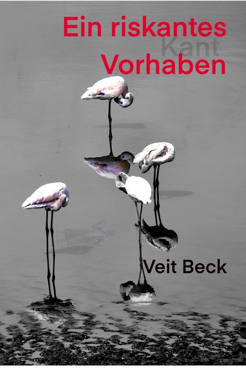 Produktbild: Ein riskantes Vorhaben