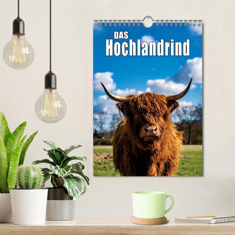 Produktbild: Das Hochlandrind im Fr&uuml;hjahr (Wandkalender 2026 DIN A4 hoch), CALVENDO Monatskalender
