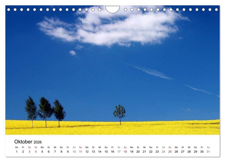 Produktbild: Rapsodie (Wandkalender 2026 DIN A4 quer), CALVENDO Monatskalender