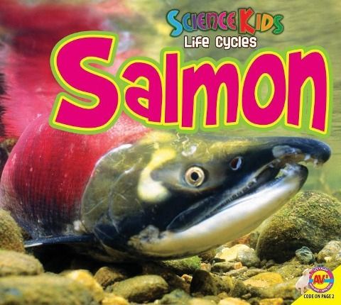 Produktbild: Salmon