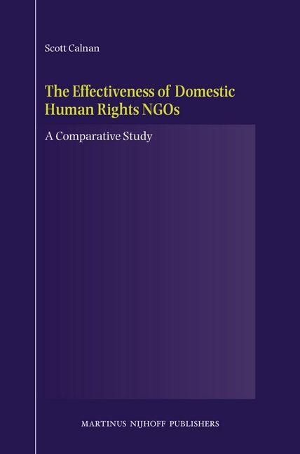 Produktbild: The Effectiveness of Domestic Human Rights NGOs