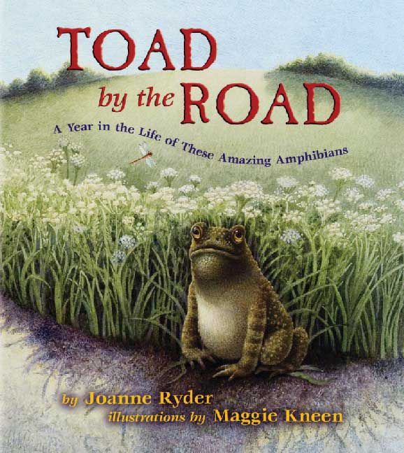 Produktbild: Toad by the Road: A Year in the Life of These Amazing Amphibians