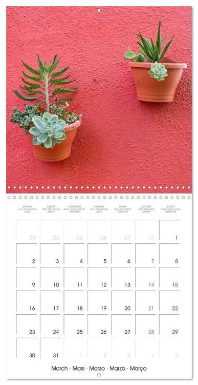 Produktbild: Leaves and flowers of Burano (Wall Calendar 2026 12 &times; 12 Inch) CALVENDO 12 Month Wall Calendar