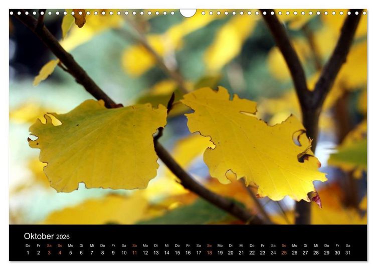 Produktbild: Das Ultental und seine Jahreszeiten (Wandkalender 2026 DIN A3 quer), CALVENDO Monatskalender