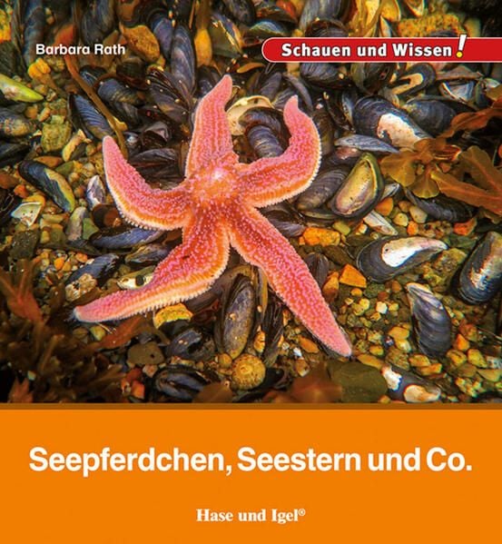 Produktbild: Seepferdchen, Seestern und Co.