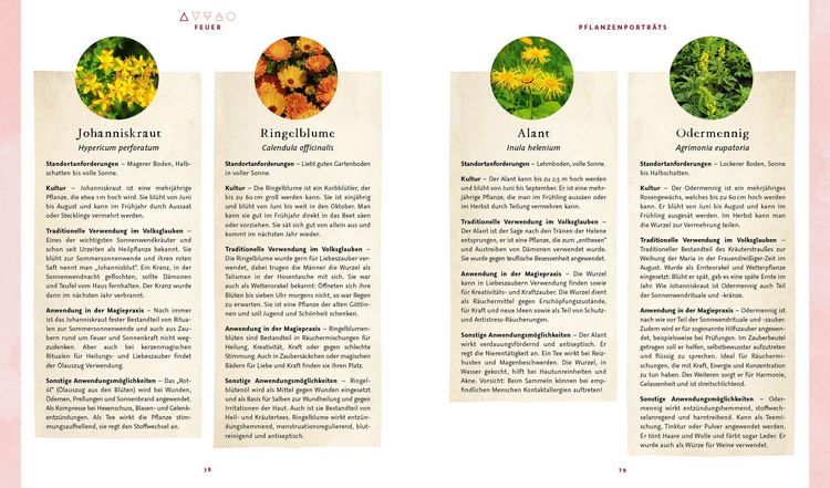 Produktbild: Magie im Hexengarten &ndash; G&auml;rtnern mit gr&uuml;ner Magie